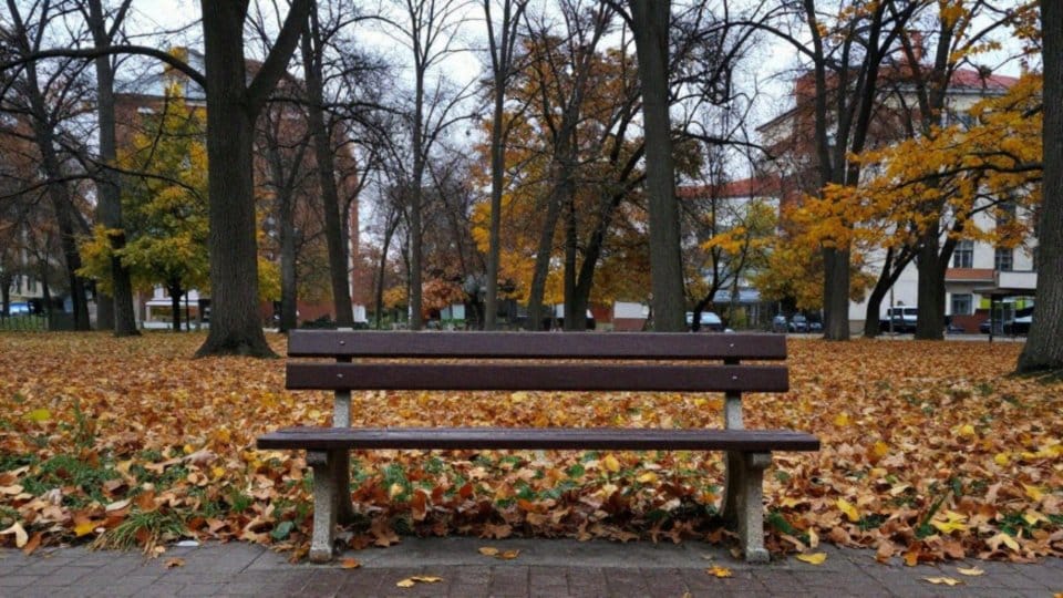 Czym jest PAWS i jak długo trwa?