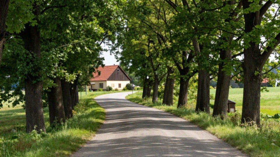 Przesłanki zasiedzenia drogi i znaczenie dobrej wiary?