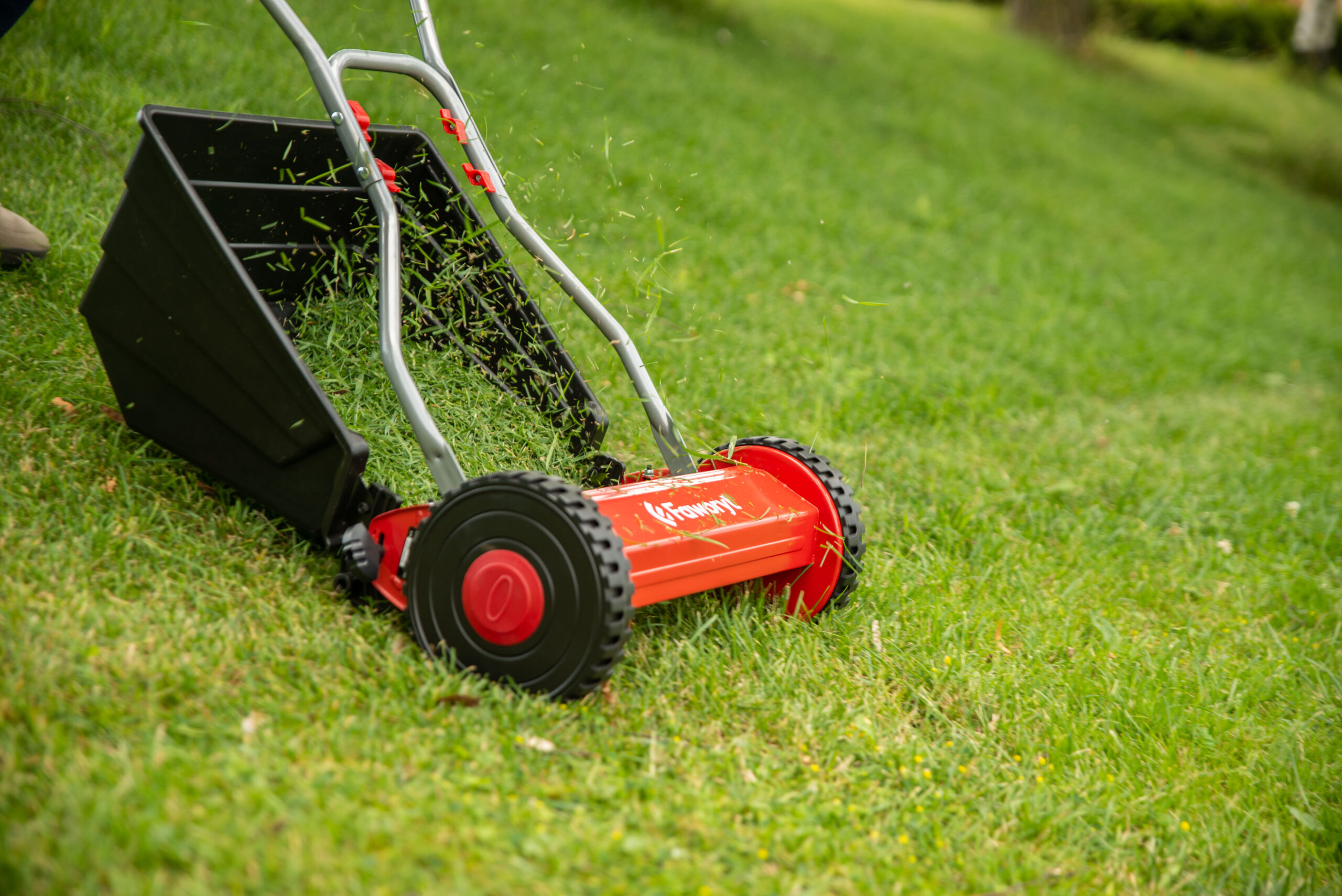 Najczęstsze błędy podczas koszenia trawy i jak ich unikać