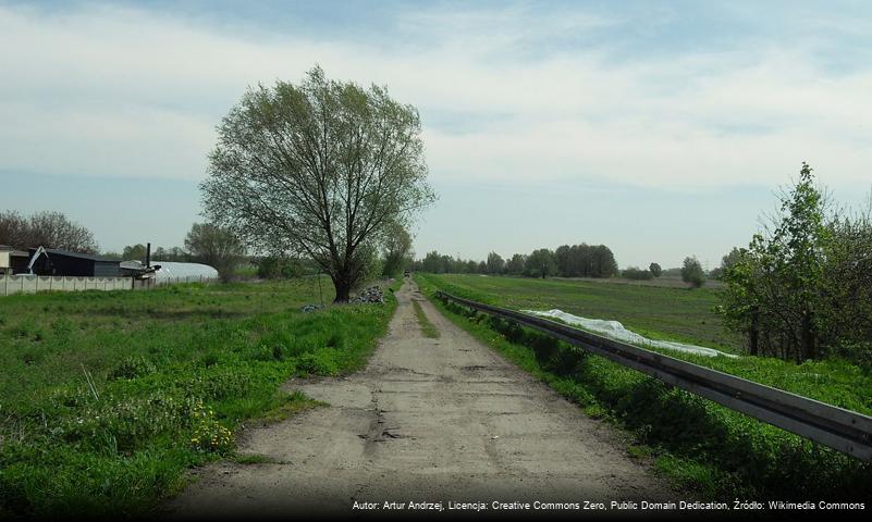 Dolnik (Gdańsk)