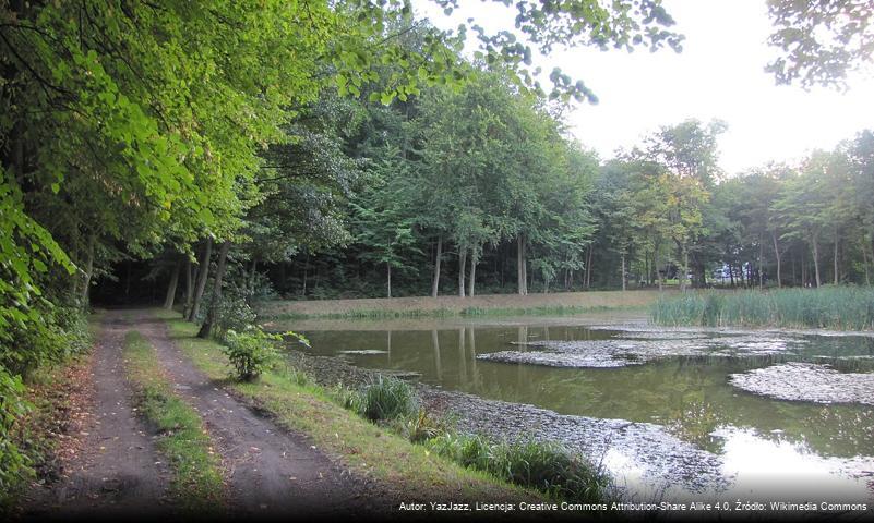 Park Ferberów