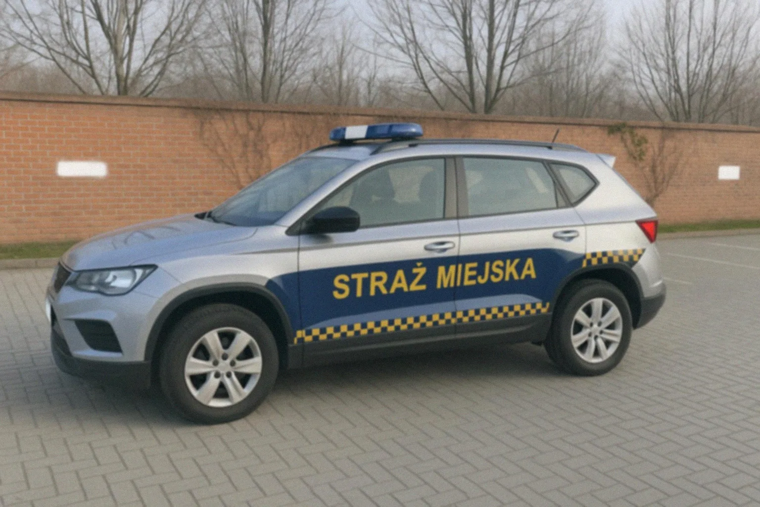 Urządzenie pomocy papudze falistej w Gdańsku