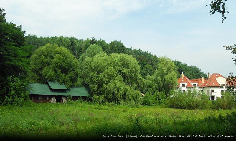 Strzyska Góra