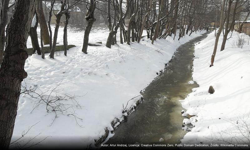 Strzyża (struga)