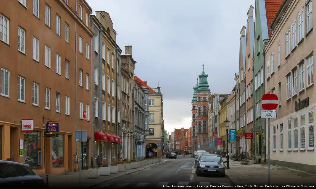 Gdańsk rozdaje mieszkańcom bratki – akcji towarzyszy duże zainteresowanie